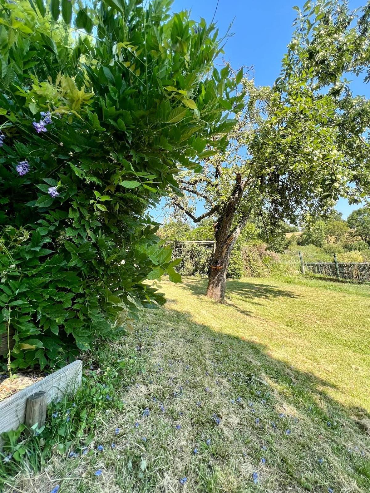 Villa La Baronnie - 11 Pers - Proche Brive -Jardin Ussac Eksteriør bilde